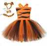 M061 tigre