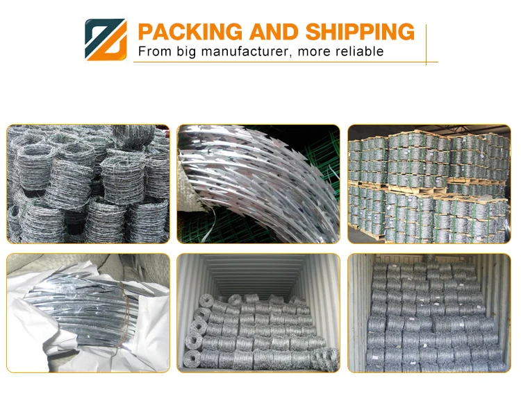 Galvanized Barbed Wire Roll/ Stainless Steel Barbed Wire Roll/ Wire