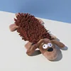 Chiot marron