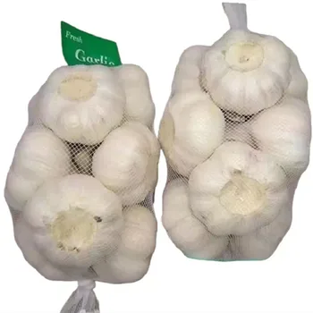 SHANDONG Sell high-quality good price Garlic Price in China pure white garlic fresh garlic