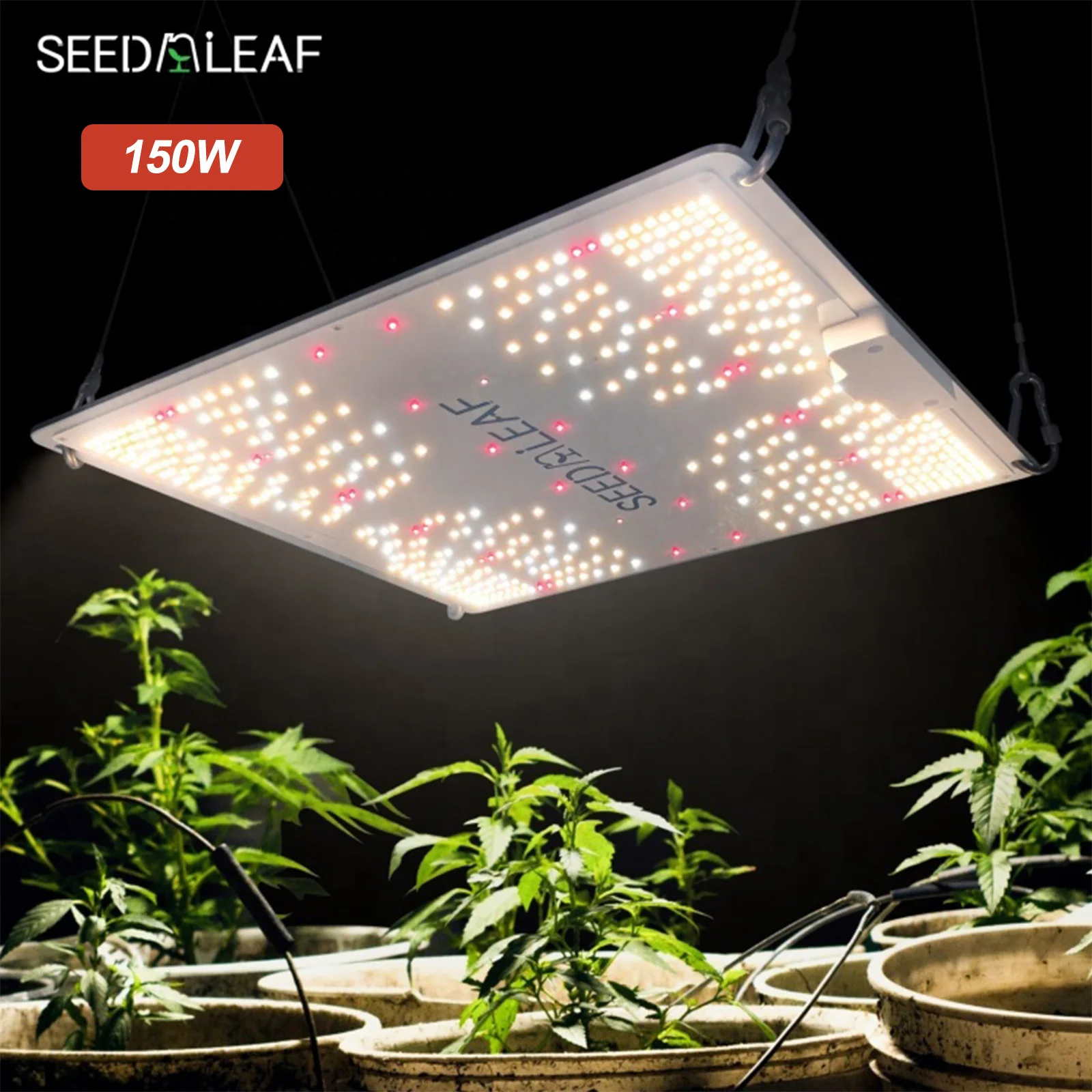 Factory Full Spectrum 150w Greenhouse Horticulture Led Plant Light