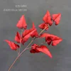 A Red Horseshoe Leaf