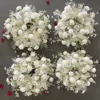 White 01