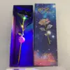 sku 8