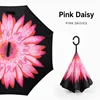 Pink Daisy