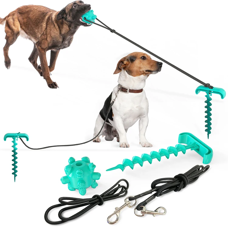 corkscrew dog leash