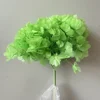 Green fruit