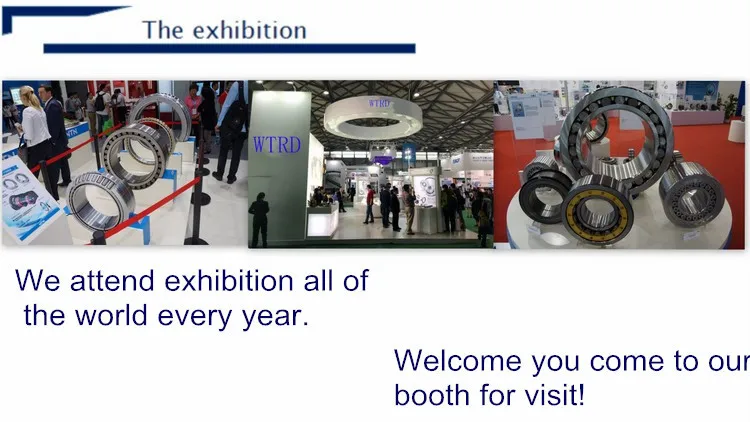 The bearings exhibition2