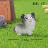 Border Collie - Miniature