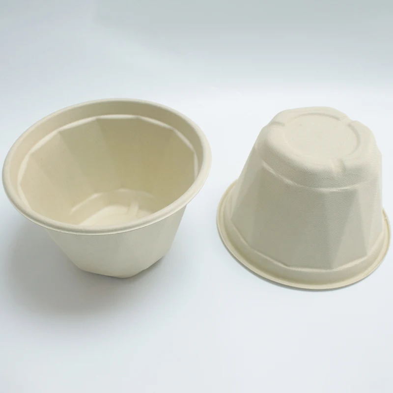 Disposable Biodegradable Bento Takeaway to Go Box Bagasse Sugarcane ...