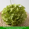 Lollipop hydrangea green