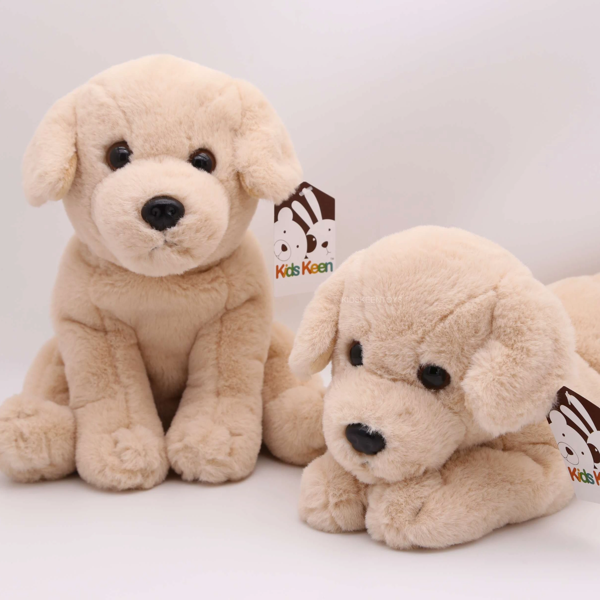 labrador teddy