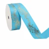 Turquoise-2,5 cm, 10 ans par rouleau