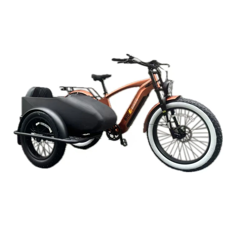 E Bike Side Car Adult Electric Tricycle with 750W Power