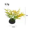 A008 สีสันสดใส