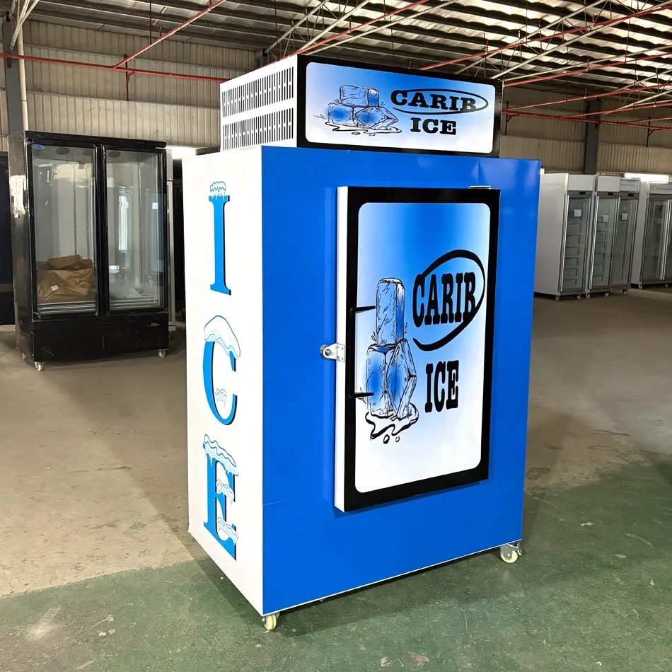 Top Mounted 30CuFt 850L Capacity Single Door Bagged Ice Merchandiser Freezer