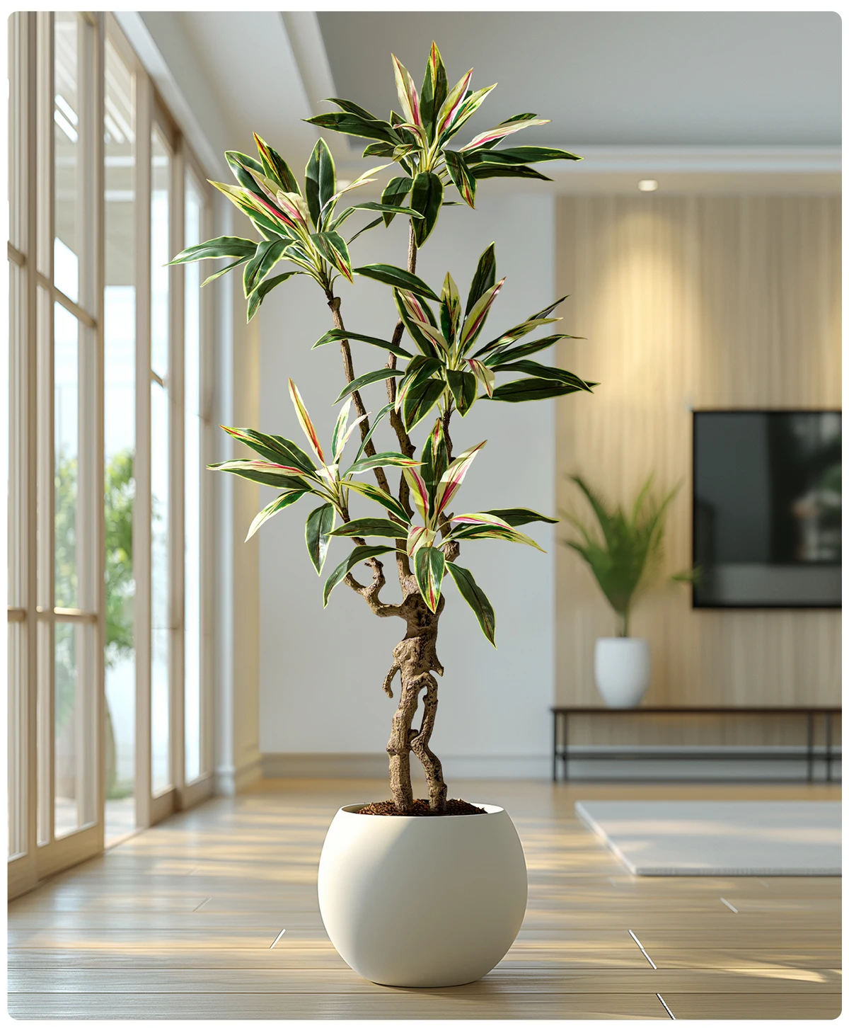 Natural Style Large Artificial Brazilian Ironwood Green Tree Plastic Decorative Greenery Olive Bonsai Pot Decorative Outdoor supplier