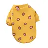 yellow bear