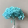Blu-chiaro