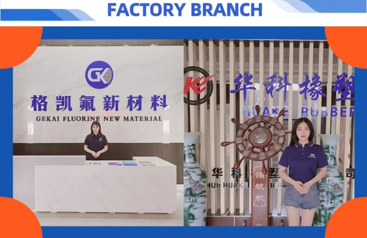Non Metallic Chain Scraper Is Easy to Install and Has a Long Service Life supplier