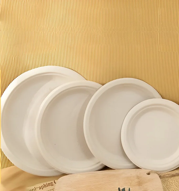 Disposable Bagasse Paper Plate Dinner Barbecue Cake Painting Diy