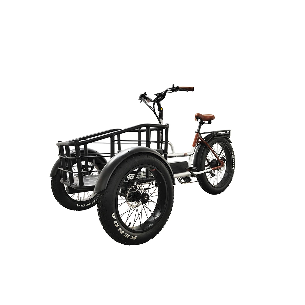 New Design 3 Wheel Electric Bicycle Three Wheels Adult Cargo Electric