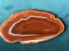 Septarian  Slab