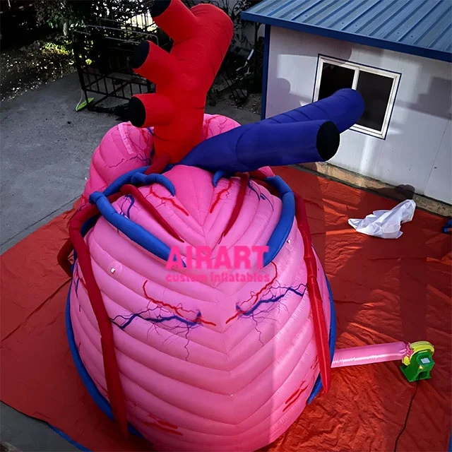 Giant Inflatable Human Organ Heart Inflatable Cardiac Inflatable Body ...