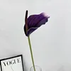 Violet foncé