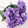 Violet profond