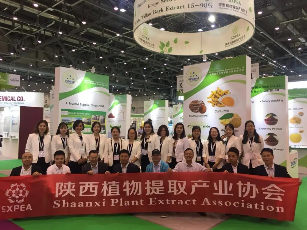 Натуральный органический зеленый овсяные отруби Авена сатива экстракт овса 95% avenacoside бета glucan порошок