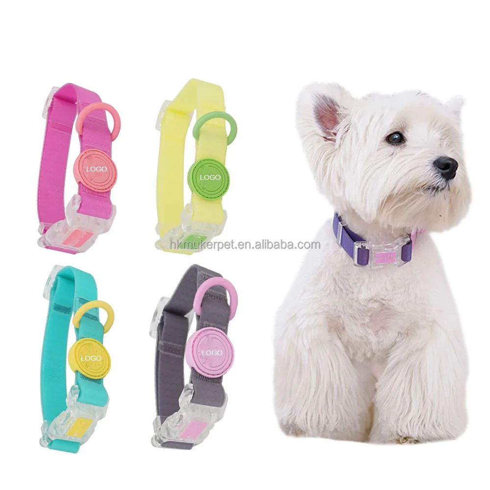 Luxury Teddy Bear Harness PVC Dog Harness Set Plastic Coated Dog