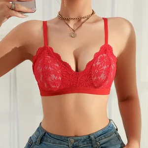 High Fashion Women's Lace Decoration See Through Padded Bra With Back Hooks and Eyes