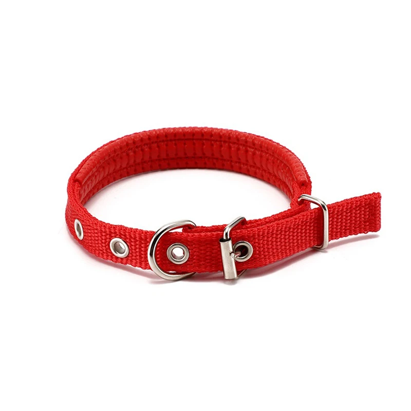 bulk buy dog leads