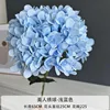 1 blue hydrangea