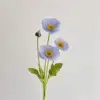 Poppy light blue