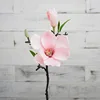 Rosa Style1