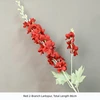 Larkspur de 2 ramas