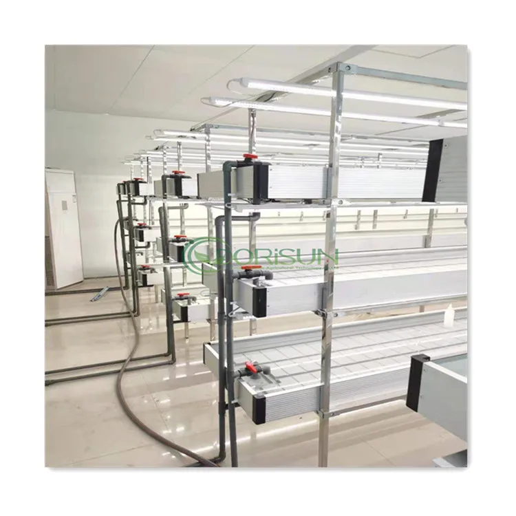 4x8 5x10 Custom Commercial Greenhouse Grow Table Double Stacked Multi