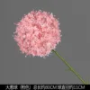 Bola de puerro rosa