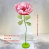 Modèle B Rose Rouge