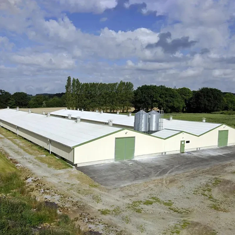 High Quality Prefabricated Steel Structure Goat Farm Sheds Design with Equipments