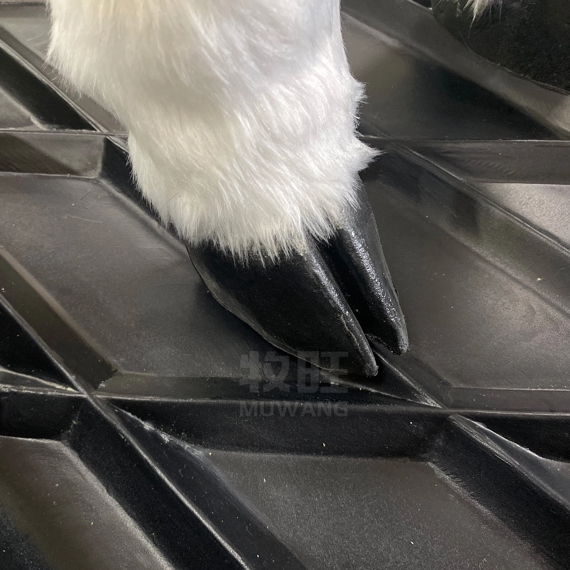 Veterinary Equipment For Dairy Cow Farm Cattle Plastic Cow Foot Bath