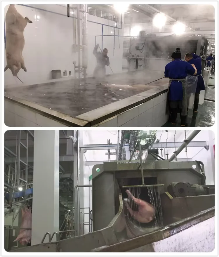 Complete pig slaughterhouse equipment, suitable for pork slaughterhouses and meat processing plants