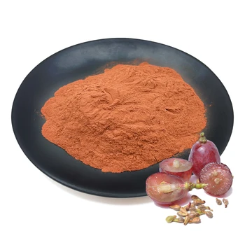 Wholesale Bulk Natural Herbal Supplement Grape Seed Extract Powder 95% Proanthocyanidins Dry Grape Seeds Extract Powder