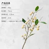 White-long branch-one stem