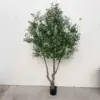 Verde, 230 cm, estilo estándar.