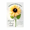 Orange-Daisy