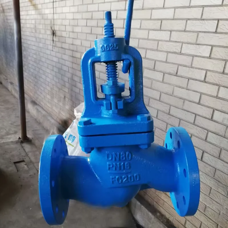 DIN DN50/DN65 Cast Iron Flange Globe Valve with Bellows Seal for Water ...