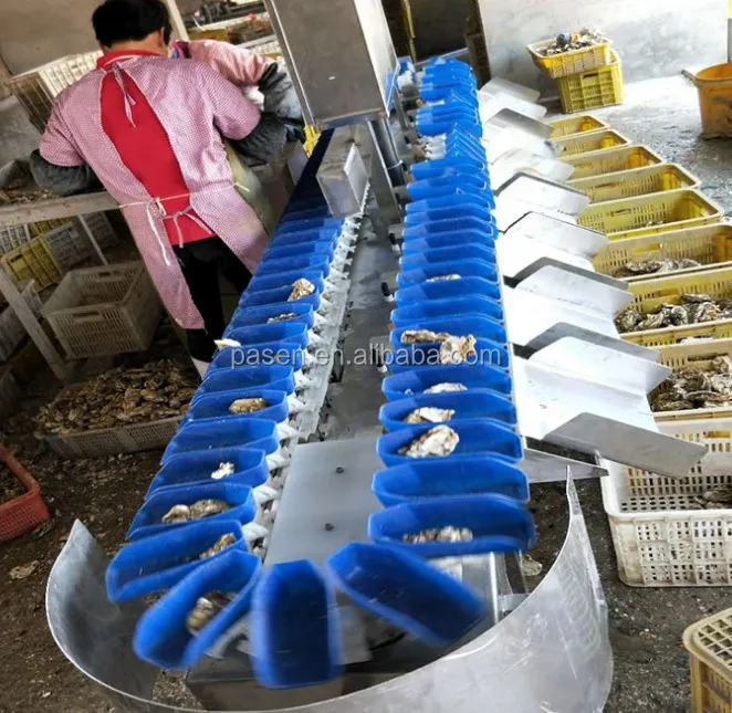 Automatic Meat Grader Machine Fish oyster Weighing Grading Machine Crab Chicken Sorting Machine for Sale